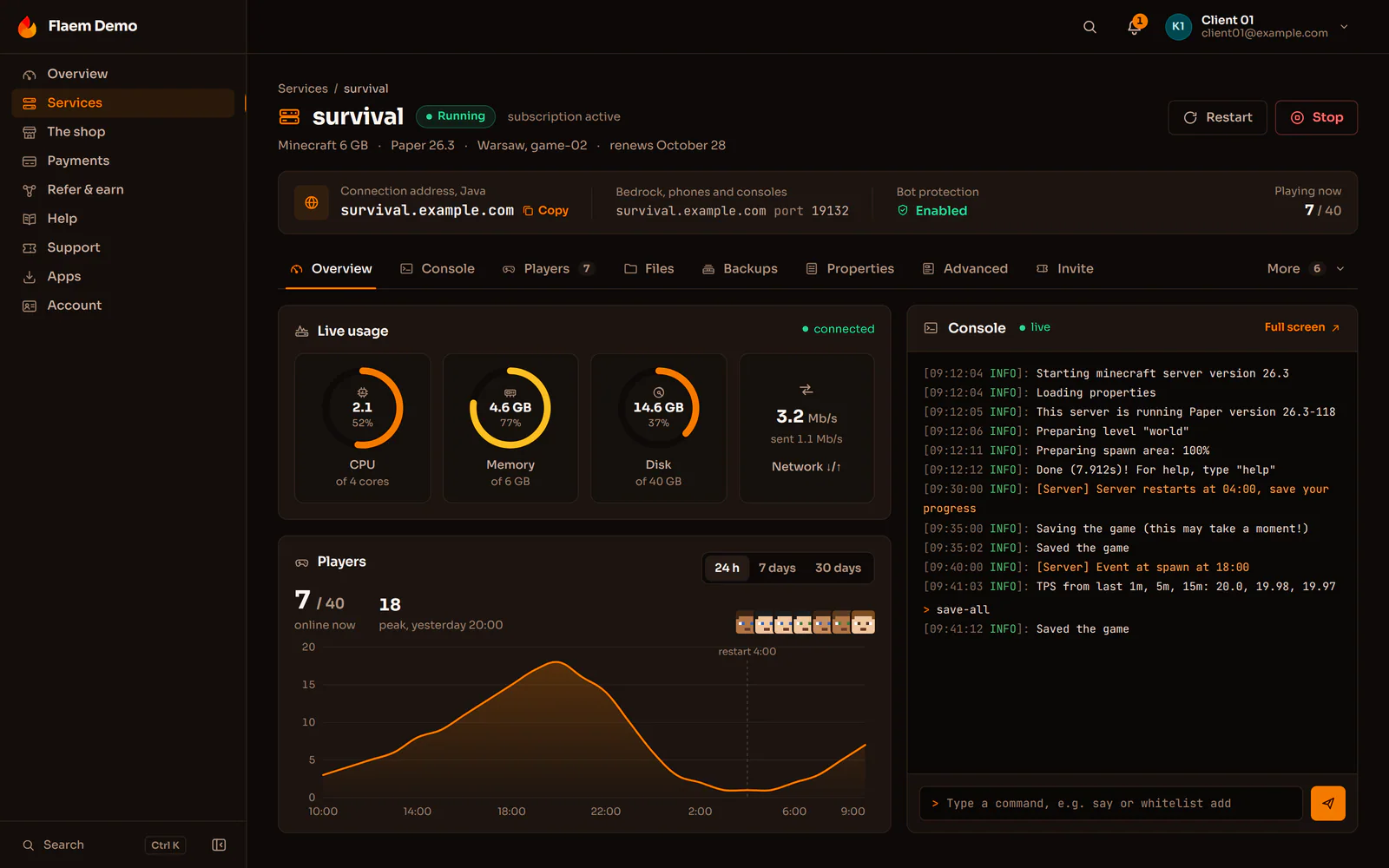 A Minecraft server in the Flaem panel: resource use, the live console and players