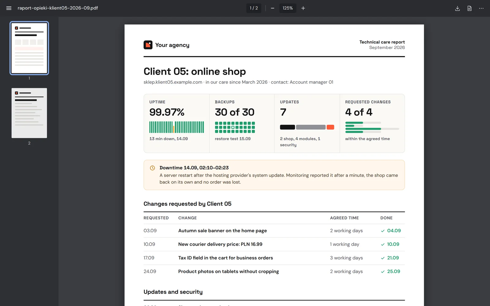 A technical care report in the agency's brand: uptime, backups, updates and the client's requested changes
